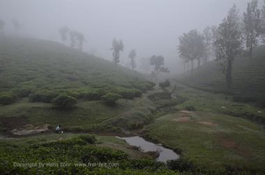 Periyar N.P., Thekkadi_DSC7277_H600